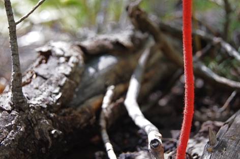 20110910_north rim_solo_jg_jg_0039.JPG 20110910_north rim_solo_jg_jg_0039.JPG